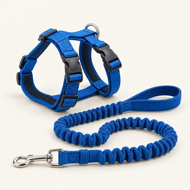 AI-generated illustration of cat harness and bungee leash; representative equipment type, not a specific product